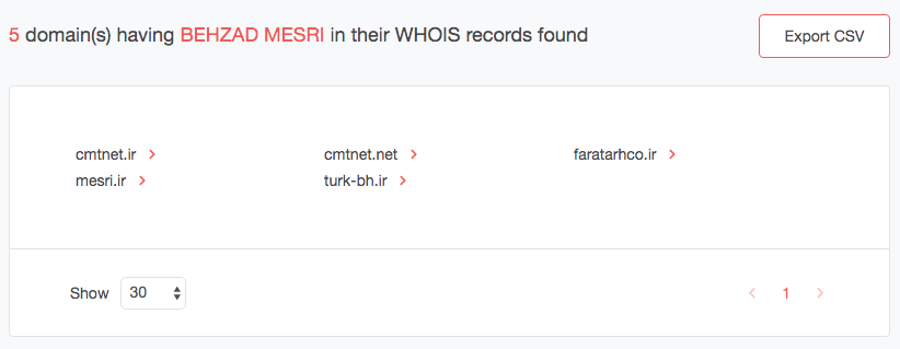 The tool listed five domains whose WHOIS records contained “Behzad Mesri.”