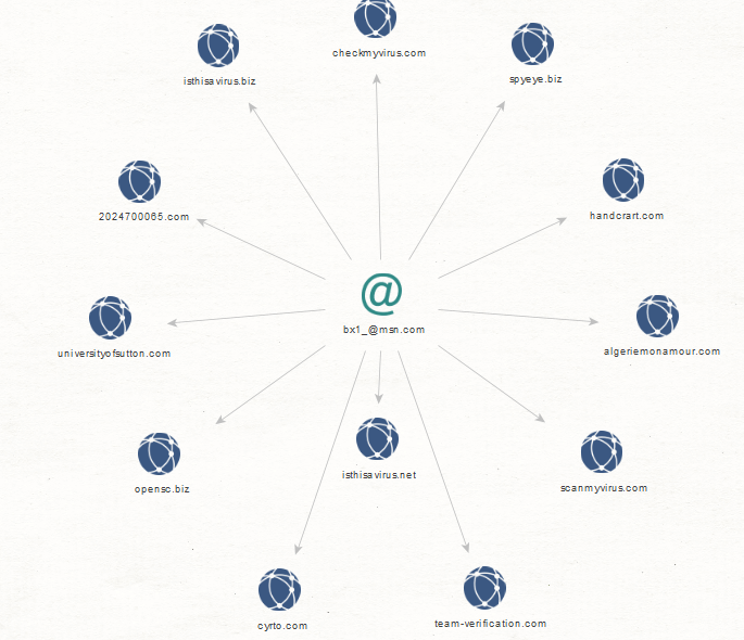 Profiling the “Jabber ZeuS” Rogue Botnet Enterprise - An Analysis