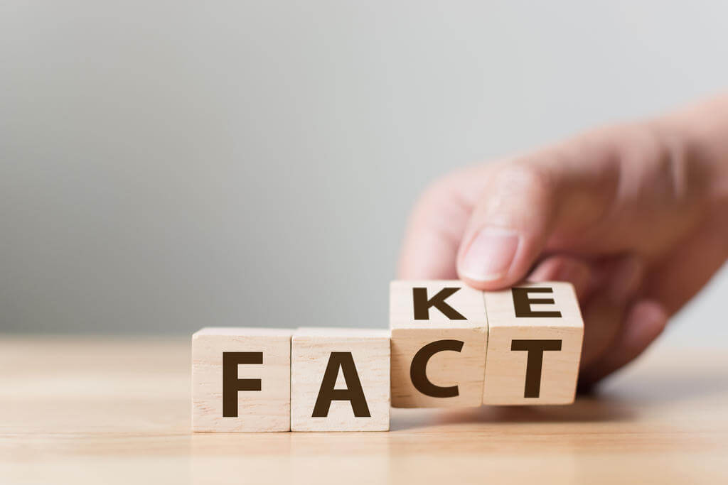 The Treepex Case: Learning More About Fake News Proliferators By Using Domain Search Lookups